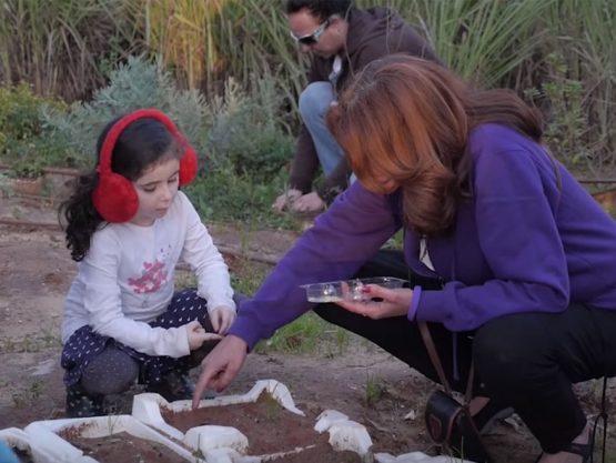 עיר בירה שכולה טוב